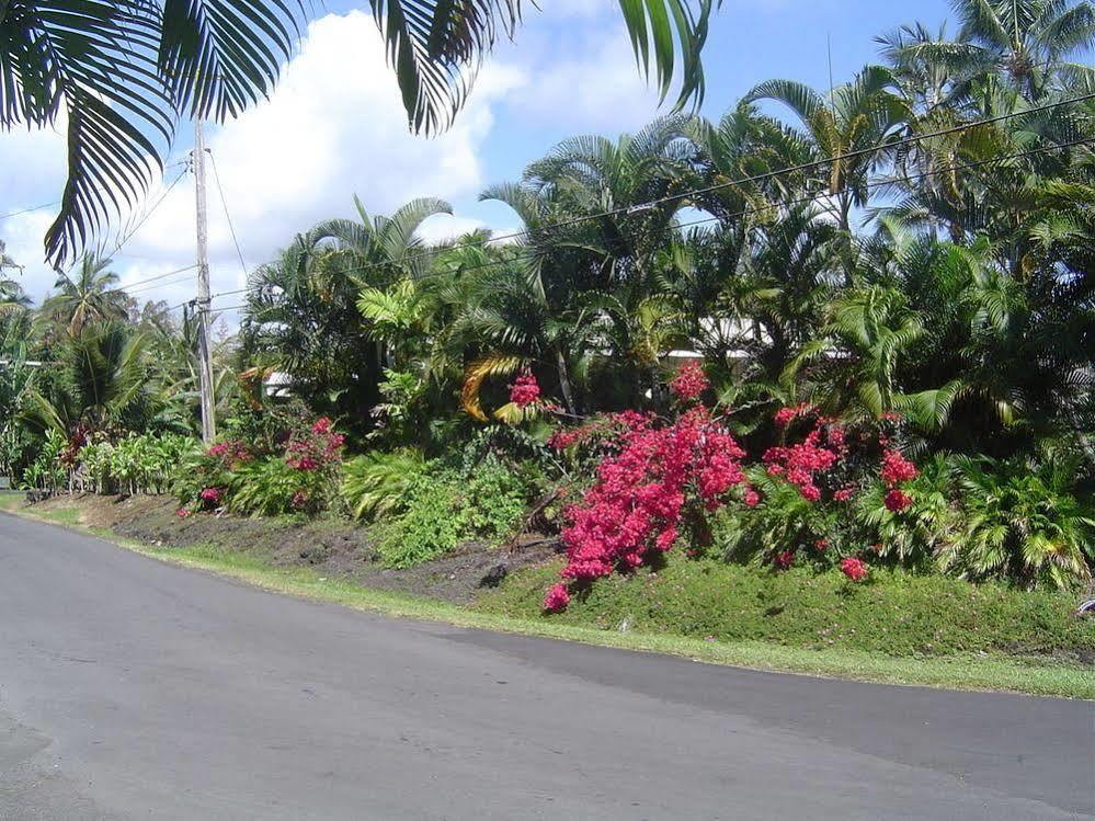 Aaron'S Cottage Hilo Exteriér fotografie